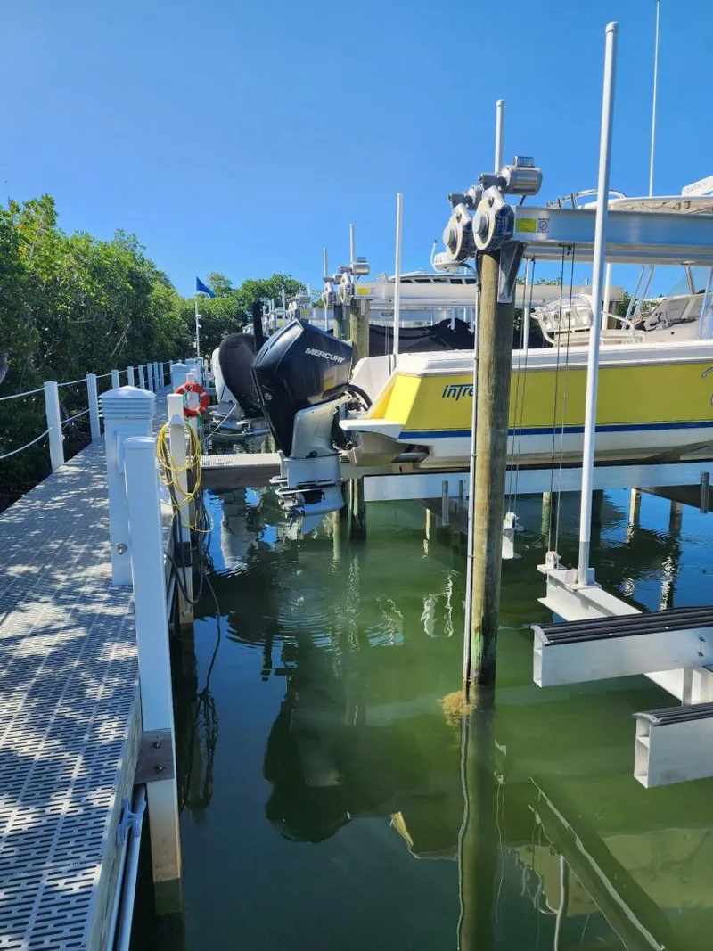 Slide: The Image of Intrepid 323 CC 2009 - 5258055