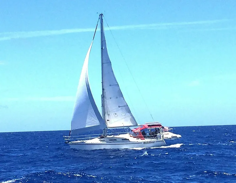 The Image of Gib'Sea 37 1989 - 5258269