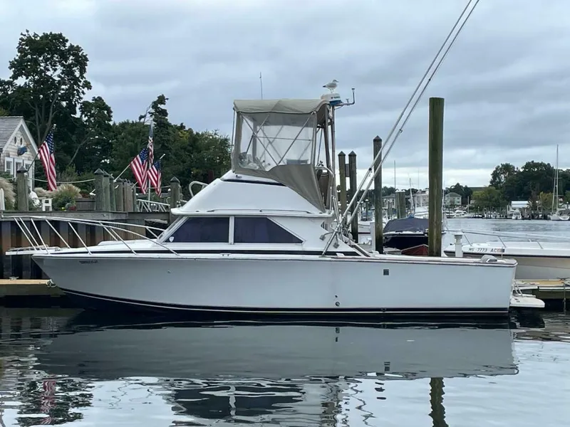 Slide: The Image of Bertram 28 Flybridge 1972 - 5259091