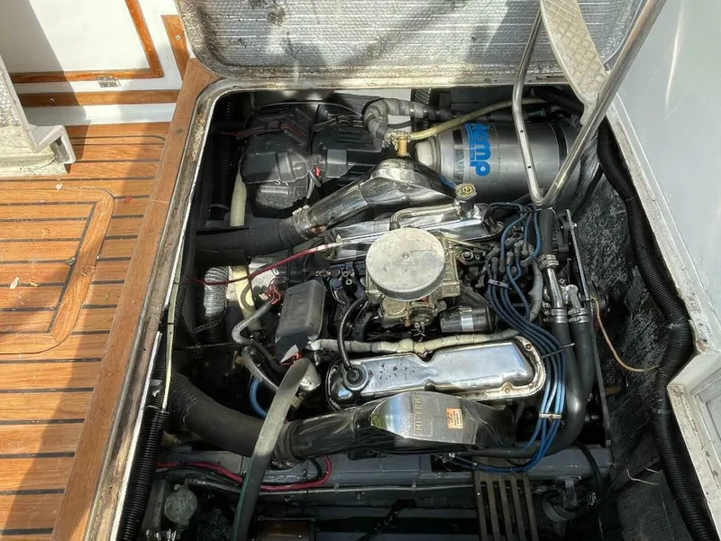 Slide: The Image of Bertram 28 Flybridge 1972 - 5259134