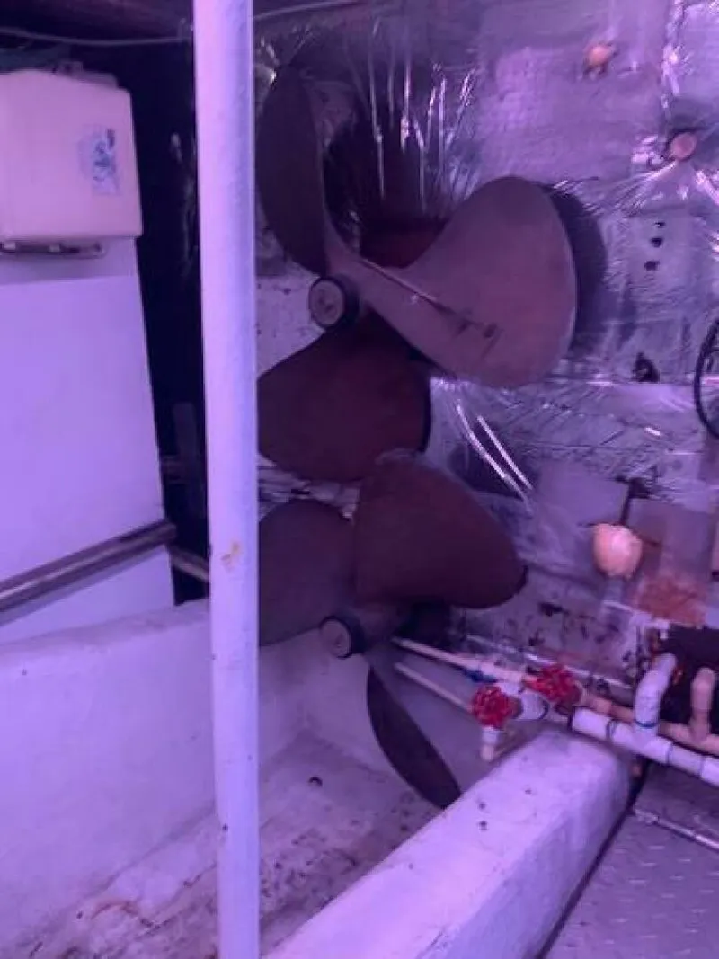 Slide: The Image of Ocean 55 Super Sport 1985 - 5263523