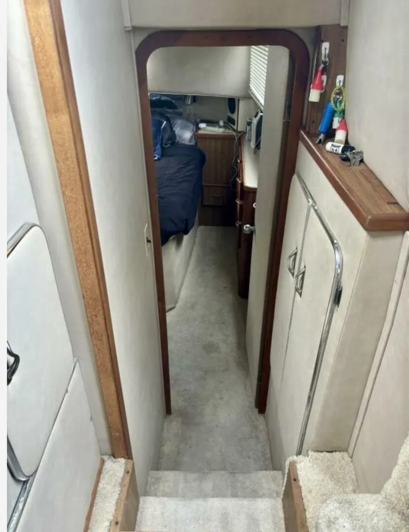 Slide: The Image of Chris-Craft 38 1987 - 5266330