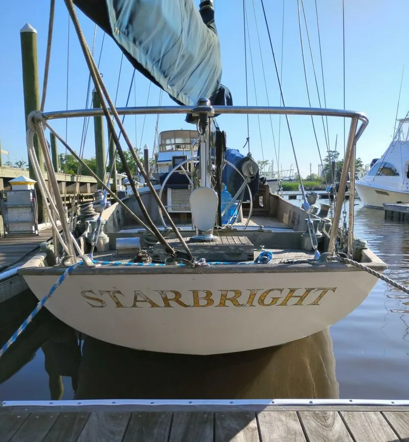 The Image of Starbright - 5266731