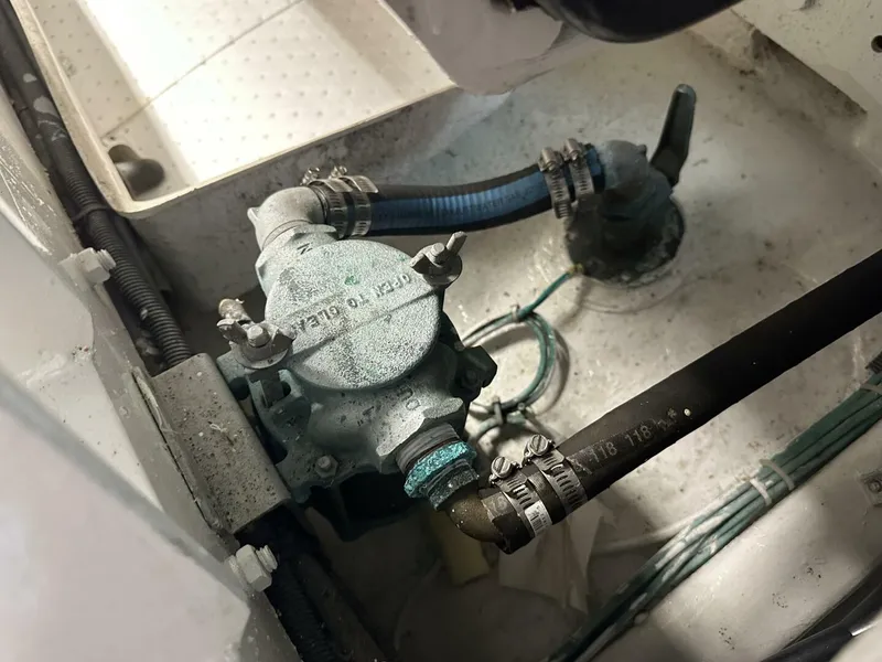 Slide: The Image of Jefferson 50 2005 - 5268294