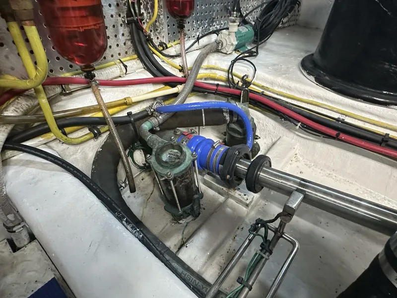 Slide: The Image of Jefferson 50 2005 - 5268305