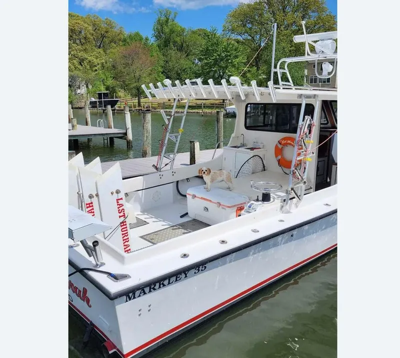 Slide: The Image of Markley 35 2002 - 5268784