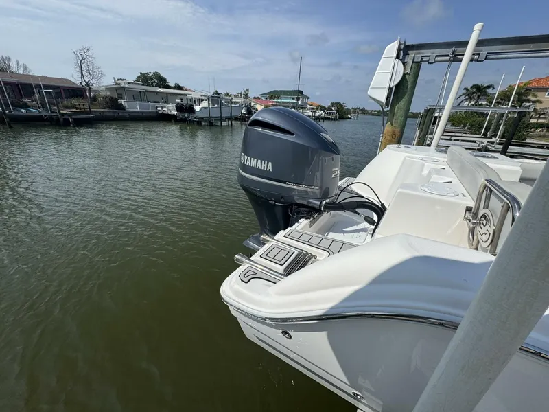 Slide: The Image of Sea Fox 24 2020 - 5315594