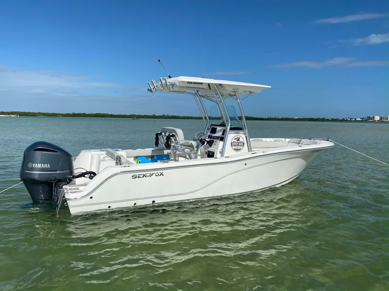 Slide: The Image of Sea Fox 24 2020 - 5315680