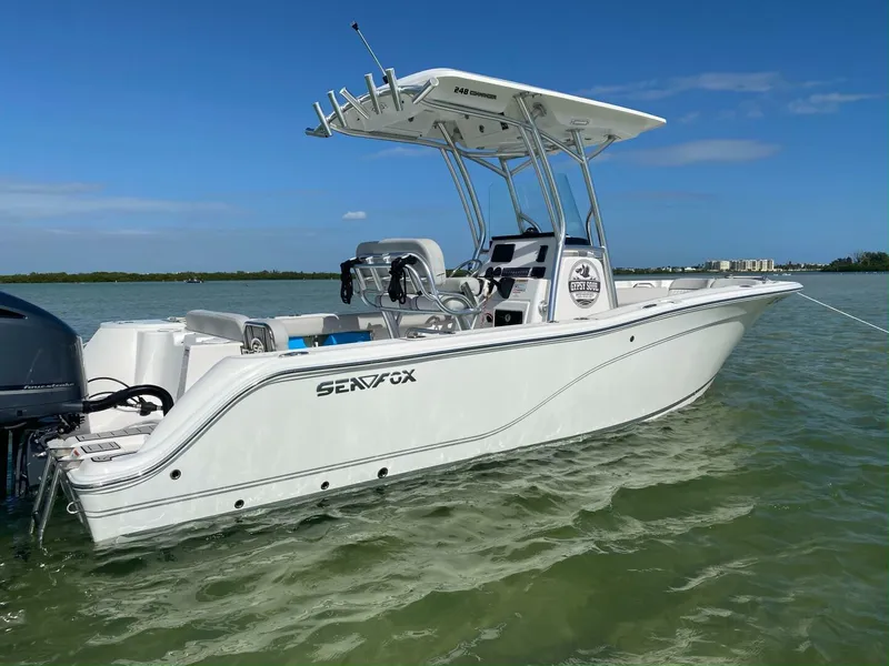 Slide: The Image of Sea Fox 24 2020 - 5315688