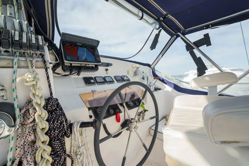 Slide: The Image of Prout 45 1995 - 5269915