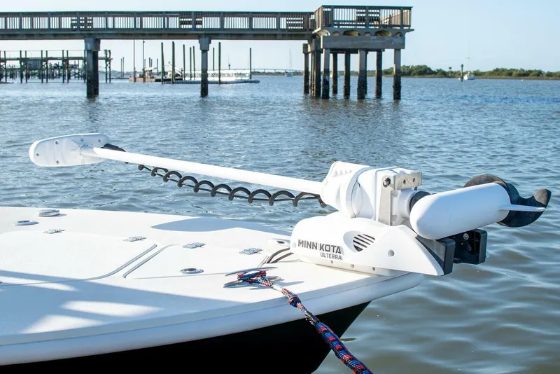 Slide: The Image of Egret 21 2021 - 5270237