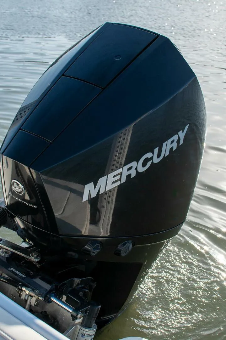 Slide: The Image of Egret 21 2021 - 5270225