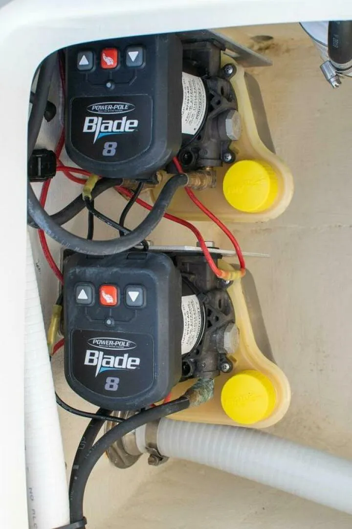 Slide: The Image of Egret 21 2021 - 5270232