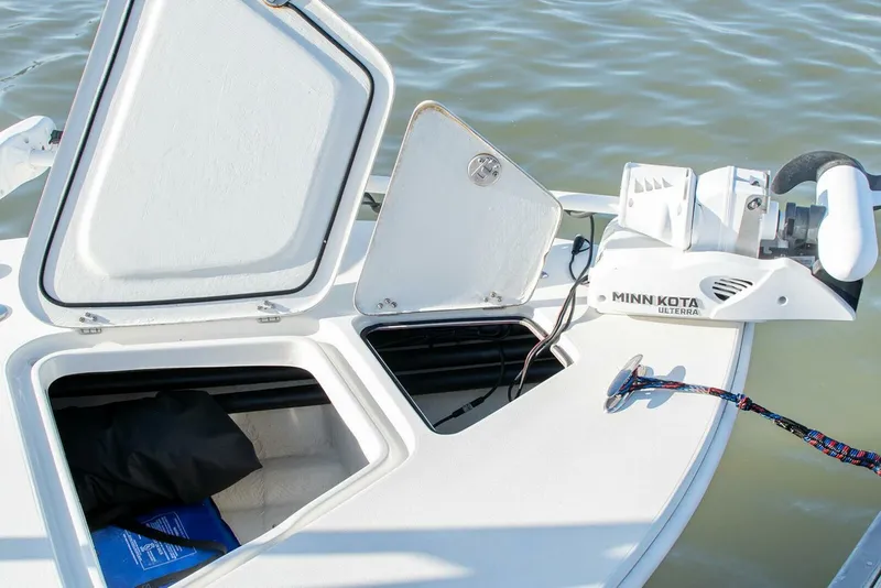 Slide: The Image of Egret 21 2021 - 5270236