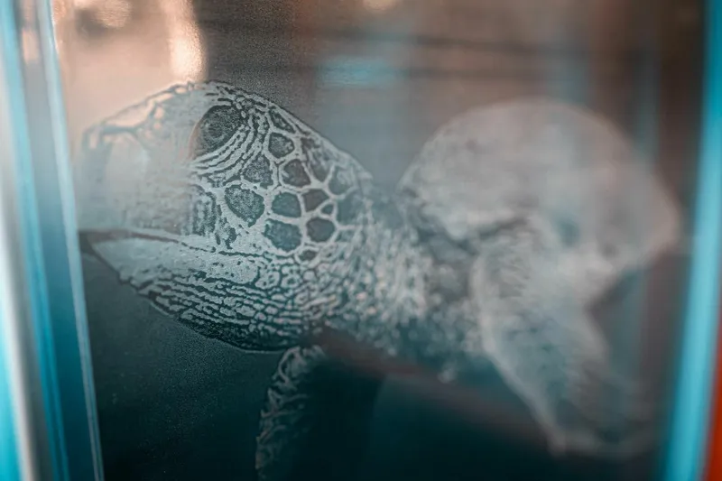 Slide: The Image of Shuttleworth 52 AeroRig 2025 - 5506692