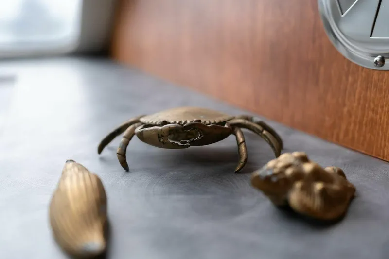 Slide: The Image of Shuttleworth 52 AeroRig 2025 - 5506705