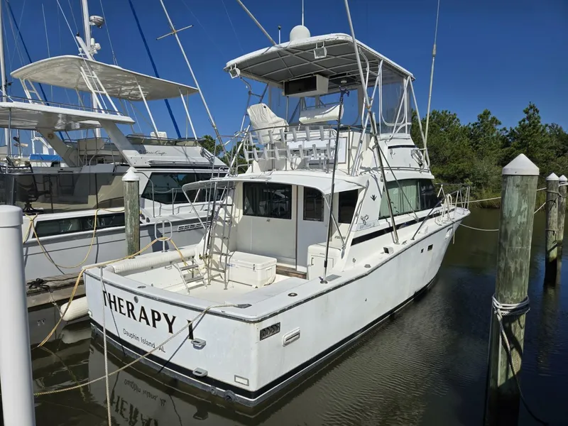 Slide: The Image of Bertram 38 1981 - 5272728