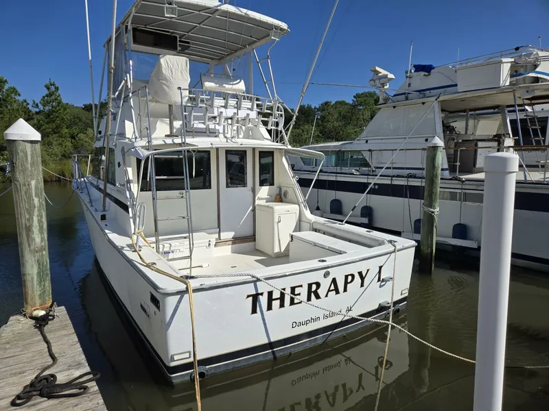 Slide: The Image of Bertram 38 1981 - 5272729