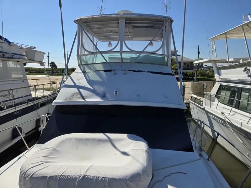 Slide: The Image of Bertram 38 1981 - 5272743