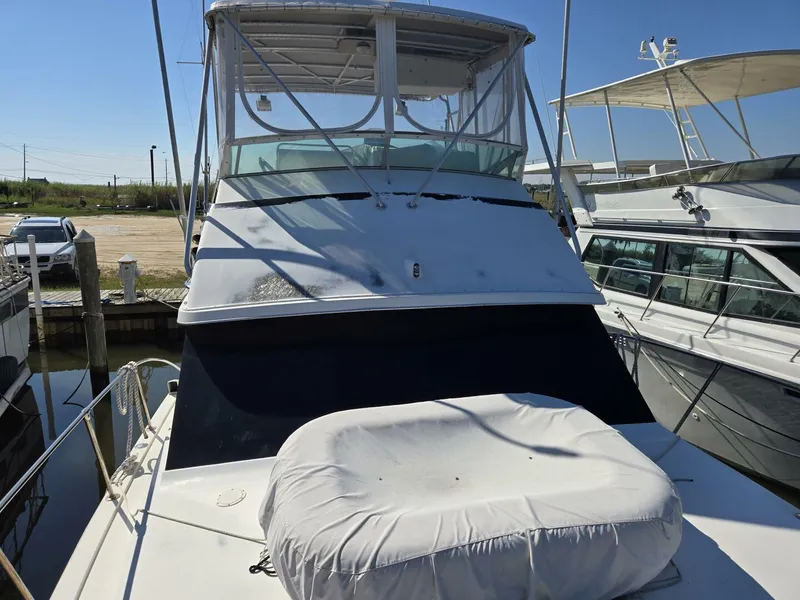 Slide: The Image of Bertram 38 1981 - 5272744