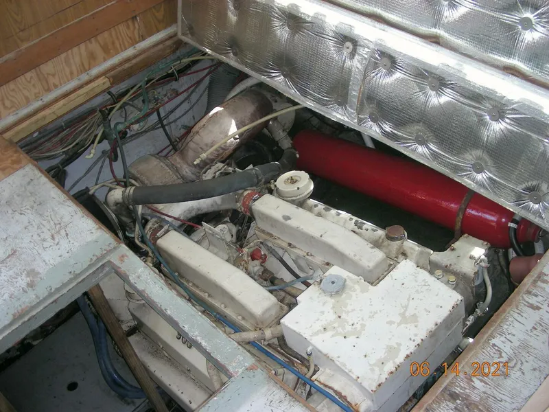 Slide: The Image of Bertram 38 1981 - 5272745