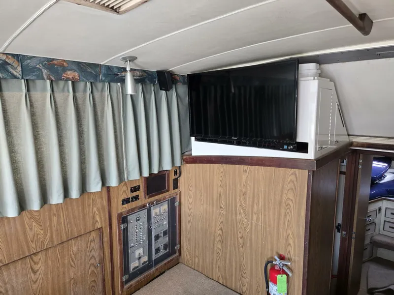 Slide: The Image of Bertram 38 1981 - 5272730