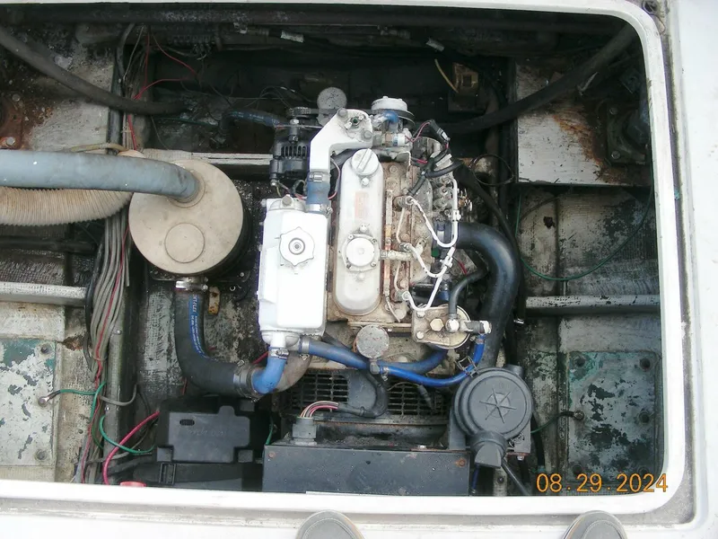 Slide: The Image of Bertram 38 1981 - 5272748