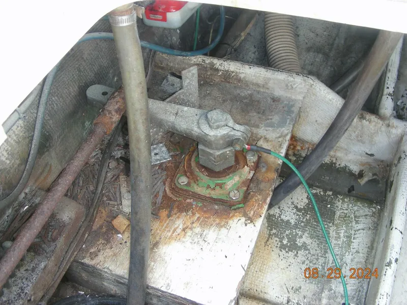 Slide: The Image of Bertram 38 1981 - 5272749