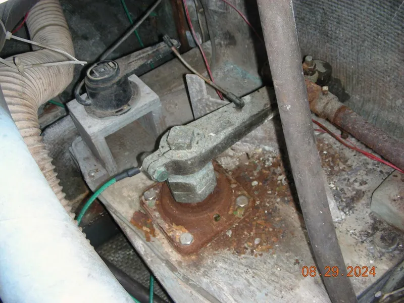 Slide: The Image of Bertram 38 1981 - 5272750