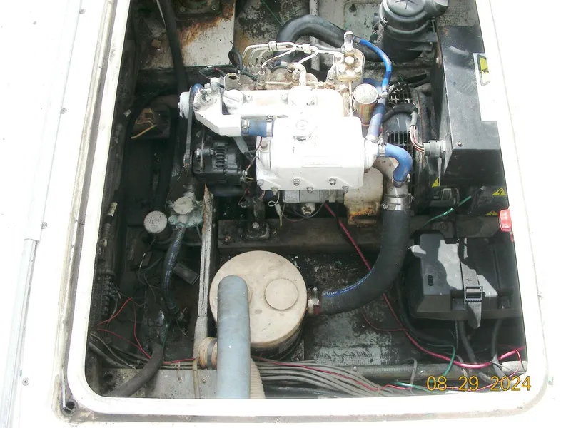 Slide: The Image of Bertram 38 1981 - 5272751