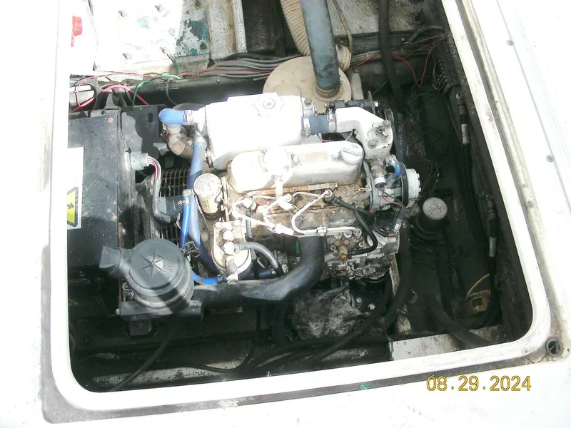 Slide: The Image of Bertram 38 1981 - 5272752