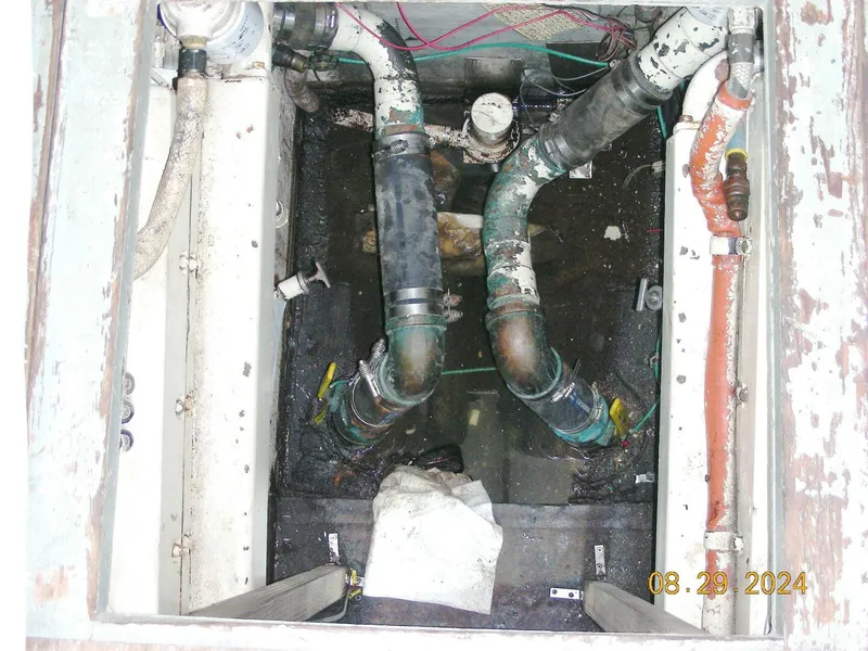 Slide: The Image of Bertram 38 1981 - 5272753