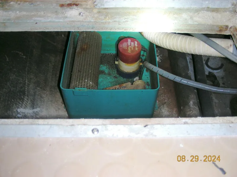 Slide: The Image of Bertram 38 1981 - 5272755