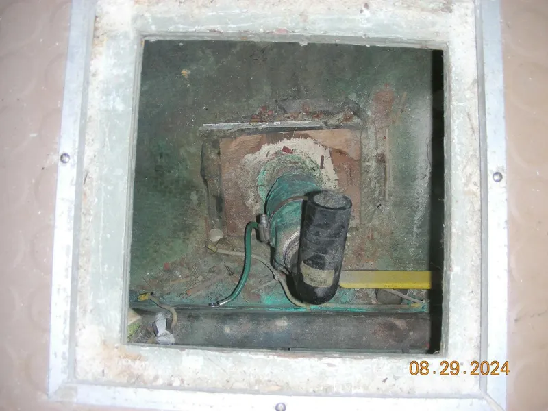 Slide: The Image of Bertram 38 1981 - 5272756