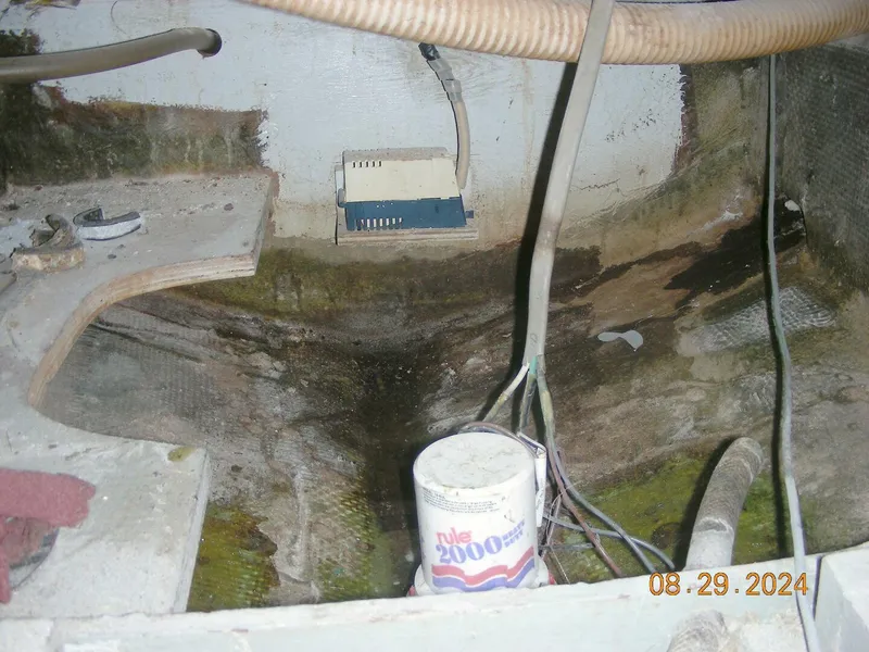 Slide: The Image of Bertram 38 1981 - 5272757