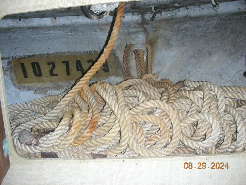 Slide: The Image of Bertram 38 1981 - 5272758