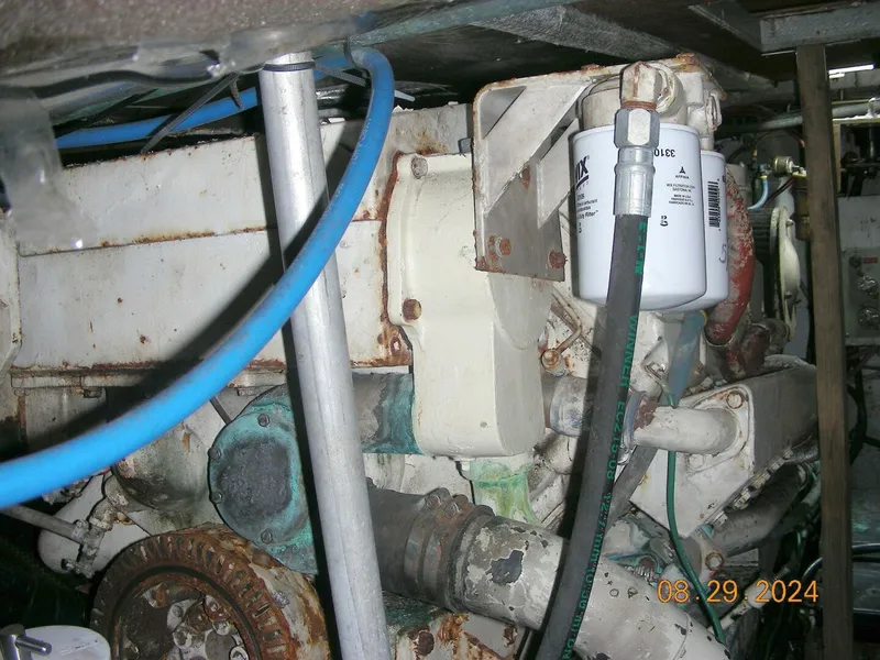 Slide: The Image of Bertram 38 1981 - 5272759