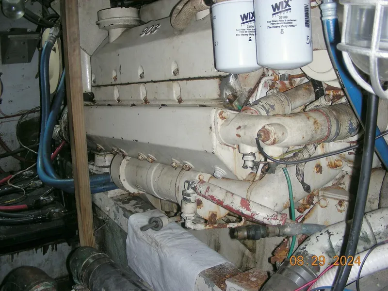 Slide: The Image of Bertram 38 1981 - 5272761