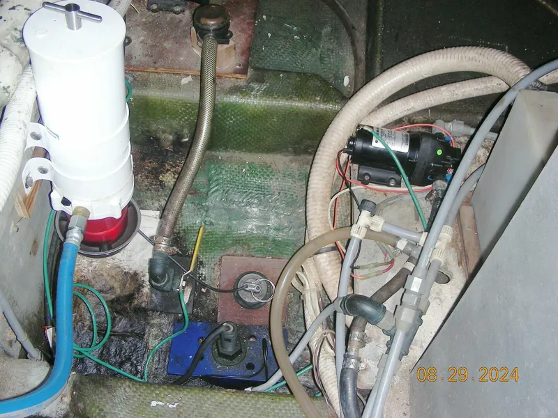 Slide: The Image of Bertram 38 1981 - 5272763