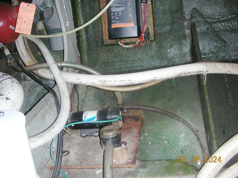 Slide: The Image of Bertram 38 1981 - 5272764