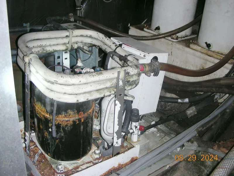 Slide: The Image of Bertram 38 1981 - 5272765