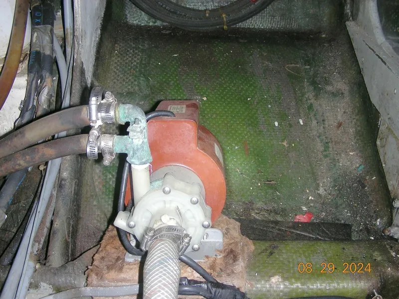 Slide: The Image of Bertram 38 1981 - 5272766