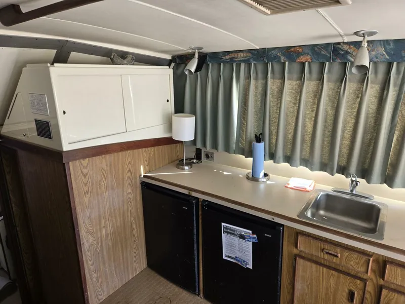 Slide: The Image of Bertram 38 1981 - 5272732