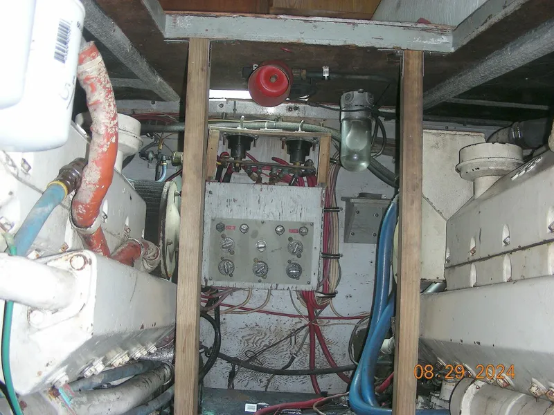 Slide: The Image of Bertram 38 1981 - 5272768