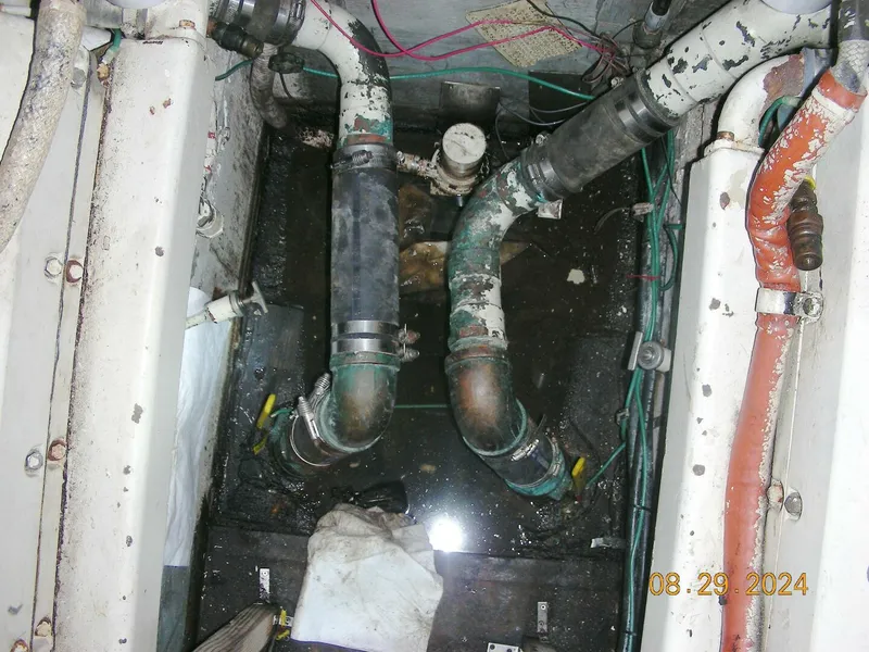 Slide: The Image of Bertram 38 1981 - 5272769