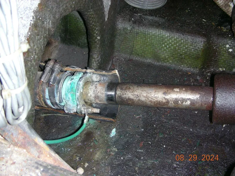 Slide: The Image of Bertram 38 1981 - 5272771