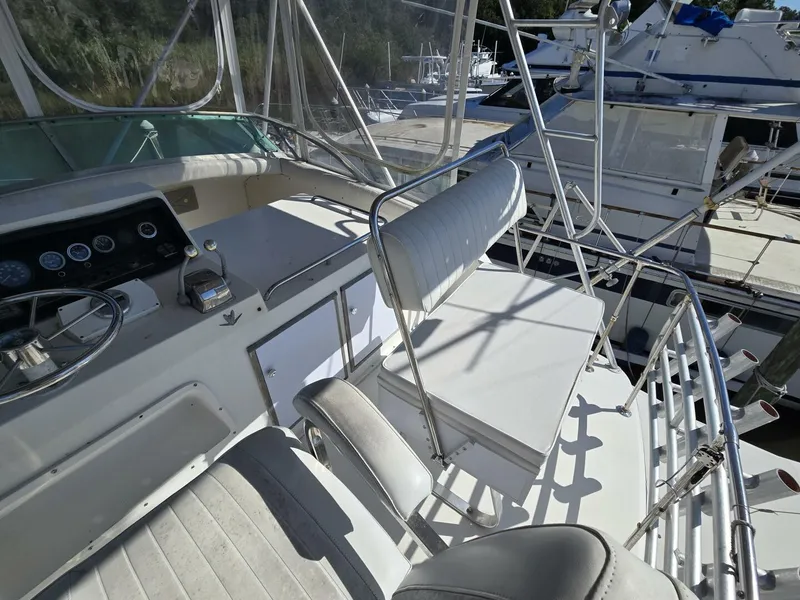 Slide: The Image of Bertram 38 1981 - 5272737