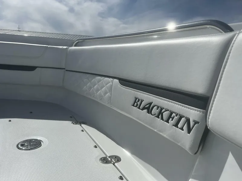 Slide: The Image of Blackfin Logo Coming - 5276896