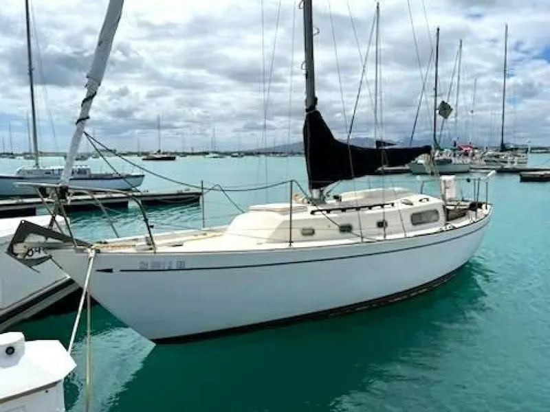 Slide: The Image of Douglas Cruiser 1976 - 5277719