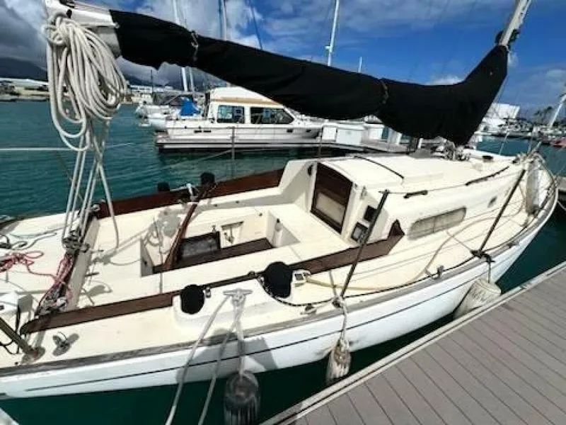 Slide: The Image of Douglas Cruiser 1976 - 5277721